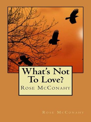 cover image of What's Not to Love?